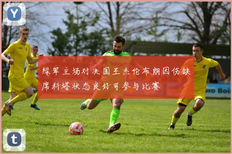 绿军主场对决国王杰伦布朗因伤缺席科塔状态良好可参与比赛